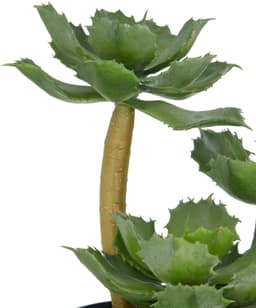 Künstliche Echeveria | Grün