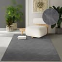 the carpet Teppich Rio | Grau 3