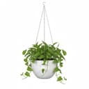Scheurich Blumentopf 21/835 Hanging Pot | Weiß 2