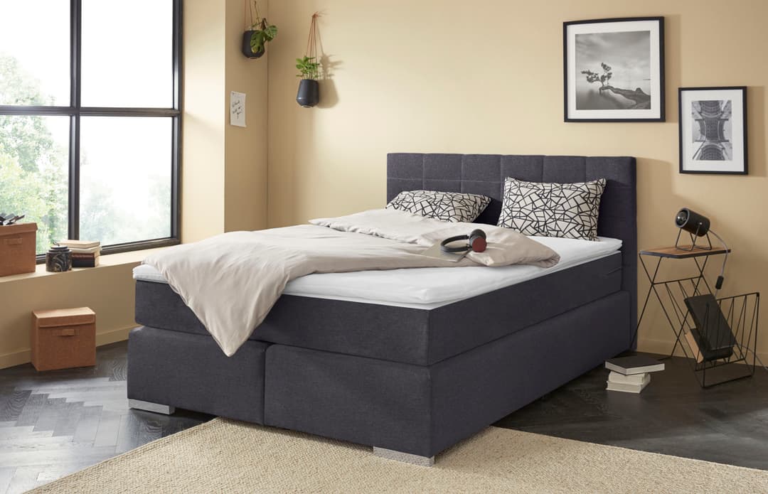 COTTA Boxspringbett Simba | Grau