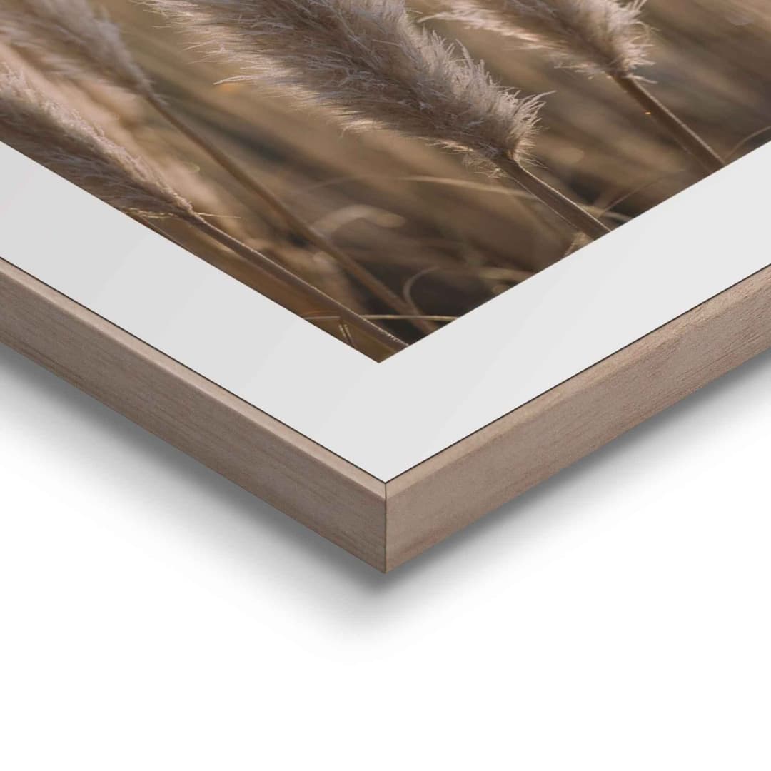 Reinders! Wandbild Natur Botanisch | Beige