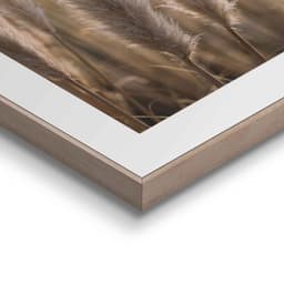 Reinders! Wandbild Natur Botanisch | Beige