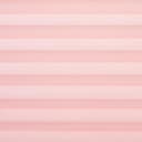 Liedeco Plissee Pastell | Rosa 2