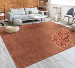 Paco Home Teppich Porto 890 | Kupfer
