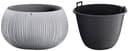 Prosperplast Blumentopf Beton Bowl | Grau