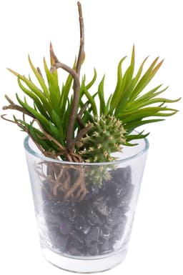 Künstliche Zimmerpflanze Sukkulenten Arrangement im Glas | Grün