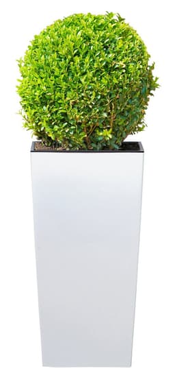 Prosperplast Urbi Square 325 Blumentopf | Weiß