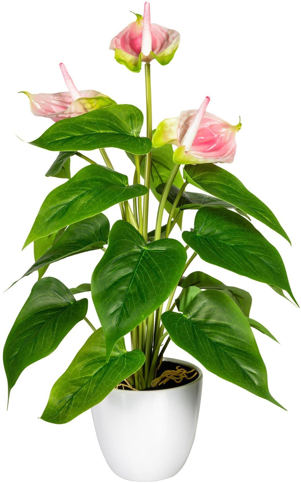 Kunstpflanze Haune Anthurie | Rosa