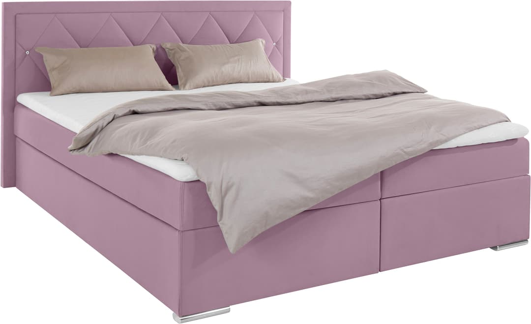 Home affaire Boxbett Alfie | Rosa