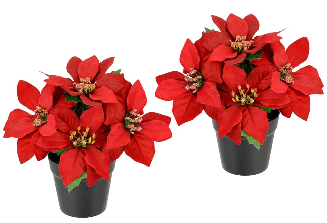 I.GE.A. Kunstblume Poinsettia im Topf | Rot