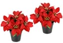 I.GE.A. Kunstblume Poinsettia im Topf | Rot