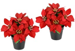 I.GE.A. Kunstblume Poinsettia im Topf | Rot