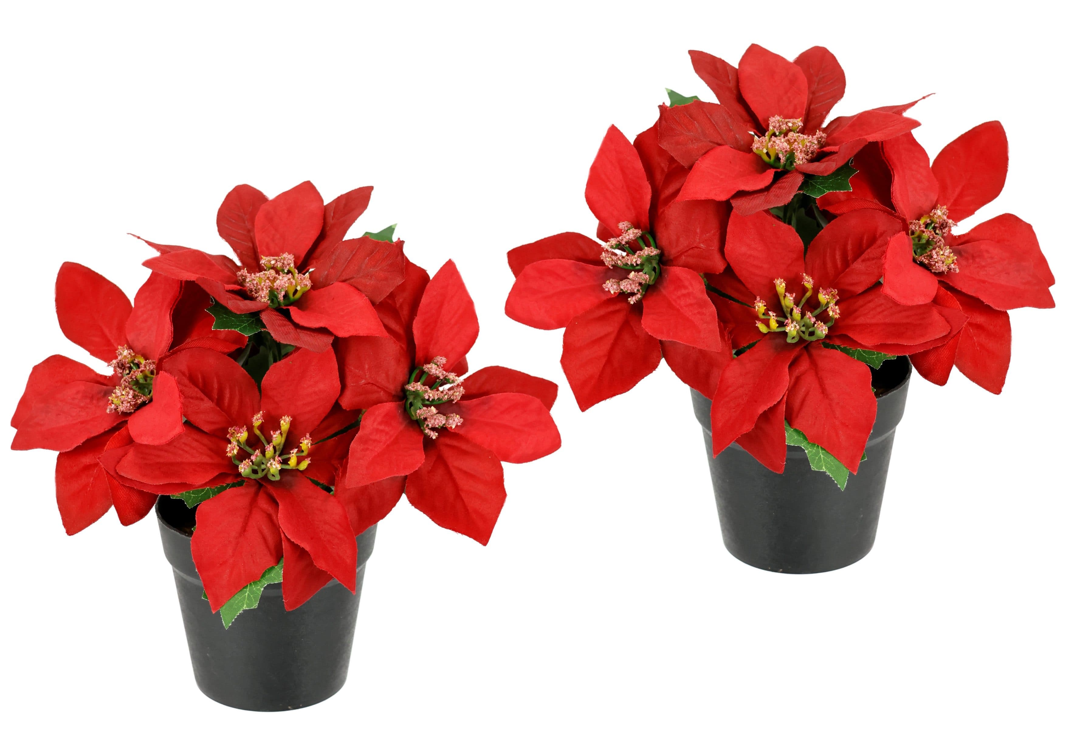I.GE.A. Kunstblume Poinsettia im Topf | Rot