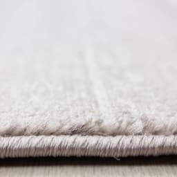 Ayyildiz Teppiche Teppich Plus 8000 | Beige