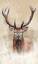 Reinders! Wandbild Hirsch | Braun