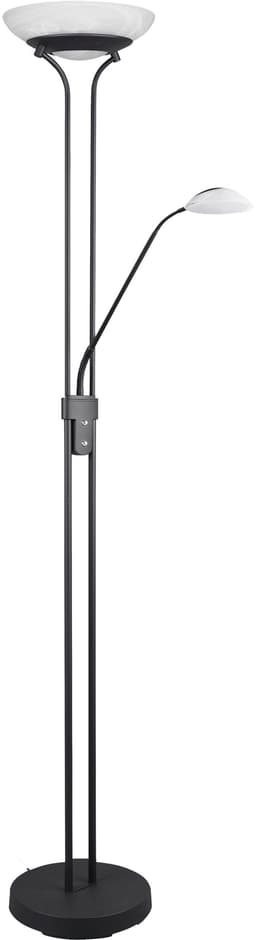 Reality Leuchten Orson LED Stehlampe | Schwarz