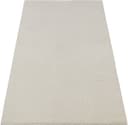the carpet Teppich Rio | Beige 2