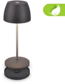 Briloner Leuchten CILANO Tischleuchte | Schwarz