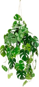 Künstliche Monstera Hängeampel | Grün