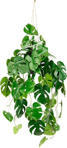 Künstliche Monstera Hängeampel | Grün
