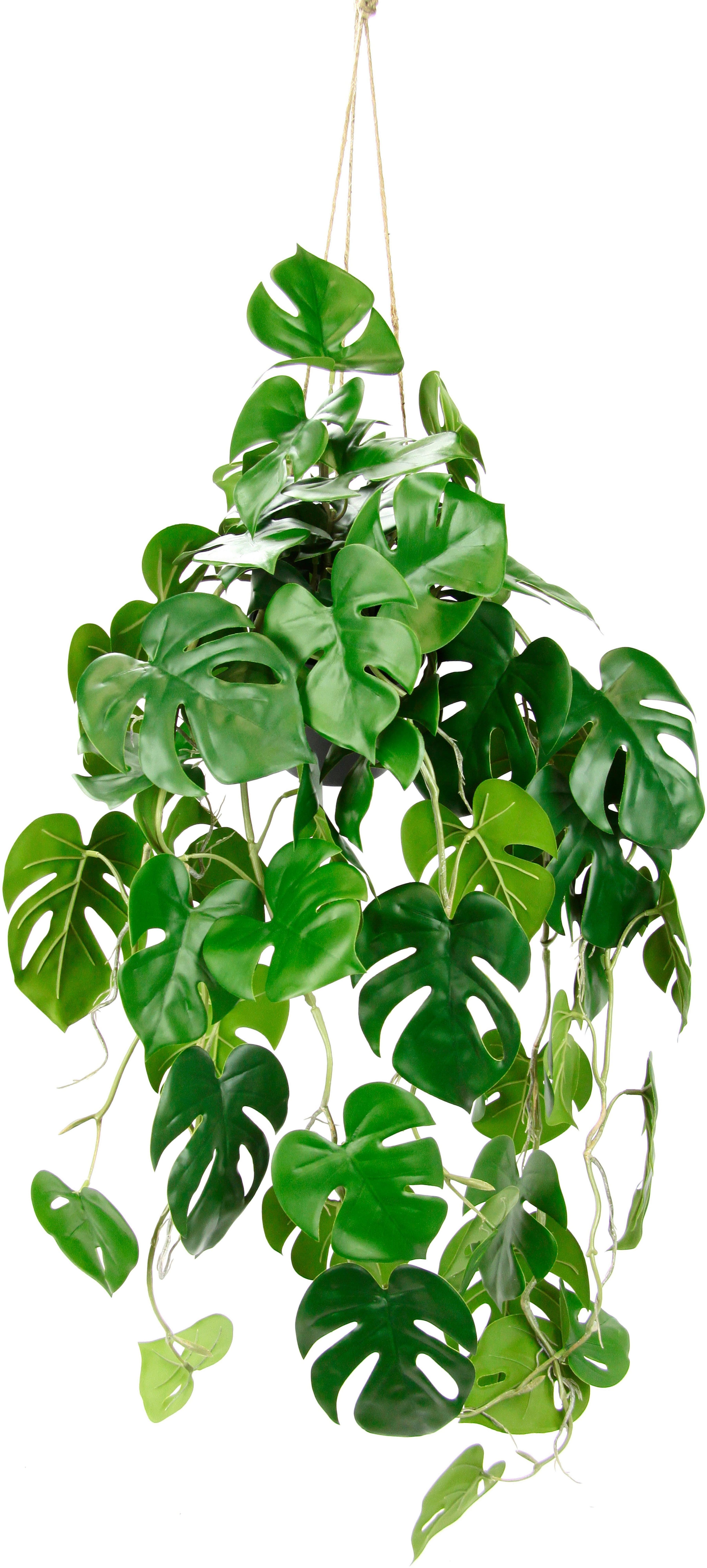 Künstliche Monstera Hängeampel | Grün