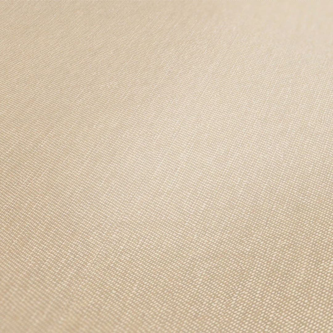 A.S. Création Terra Vliestapete | Beige