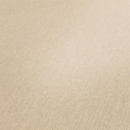 A.S. Création Terra Vliestapete | Beige