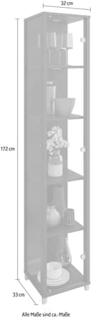 fif möbel Vitrine OPTIMA | Schwarz 4
