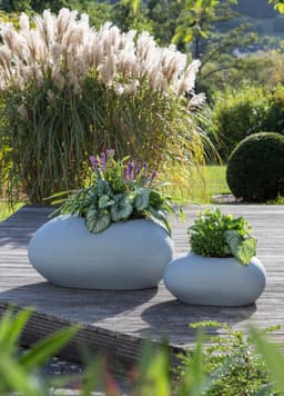 Scheurich Blumentopf 48/280 FLOW | Grau