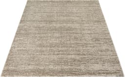 Sanat Teppich Oslo | Beige