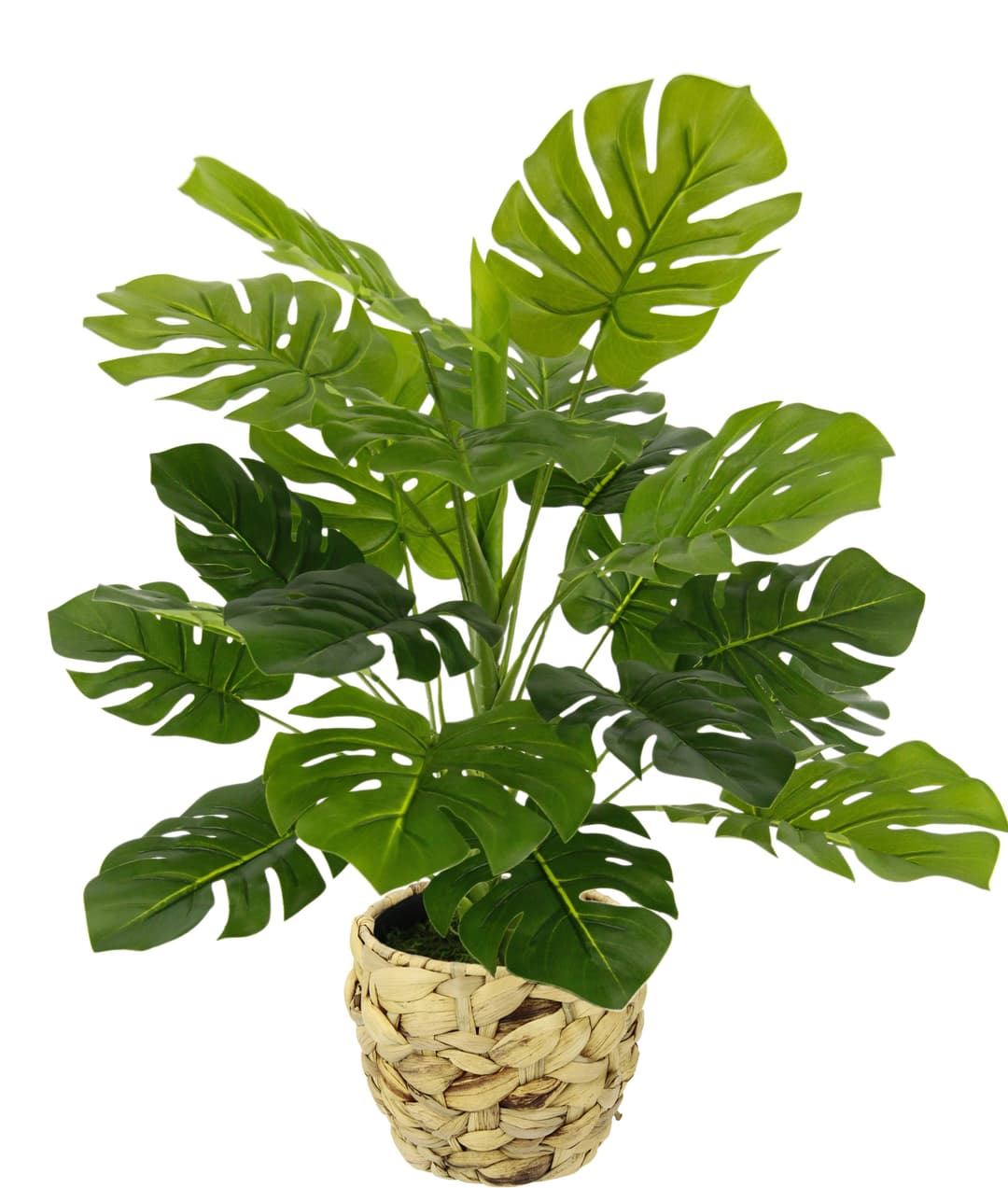Kunstpflanze Monstera | Grün