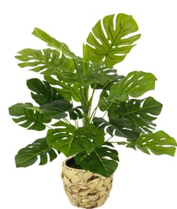 Kunstpflanze Monstera | Grün