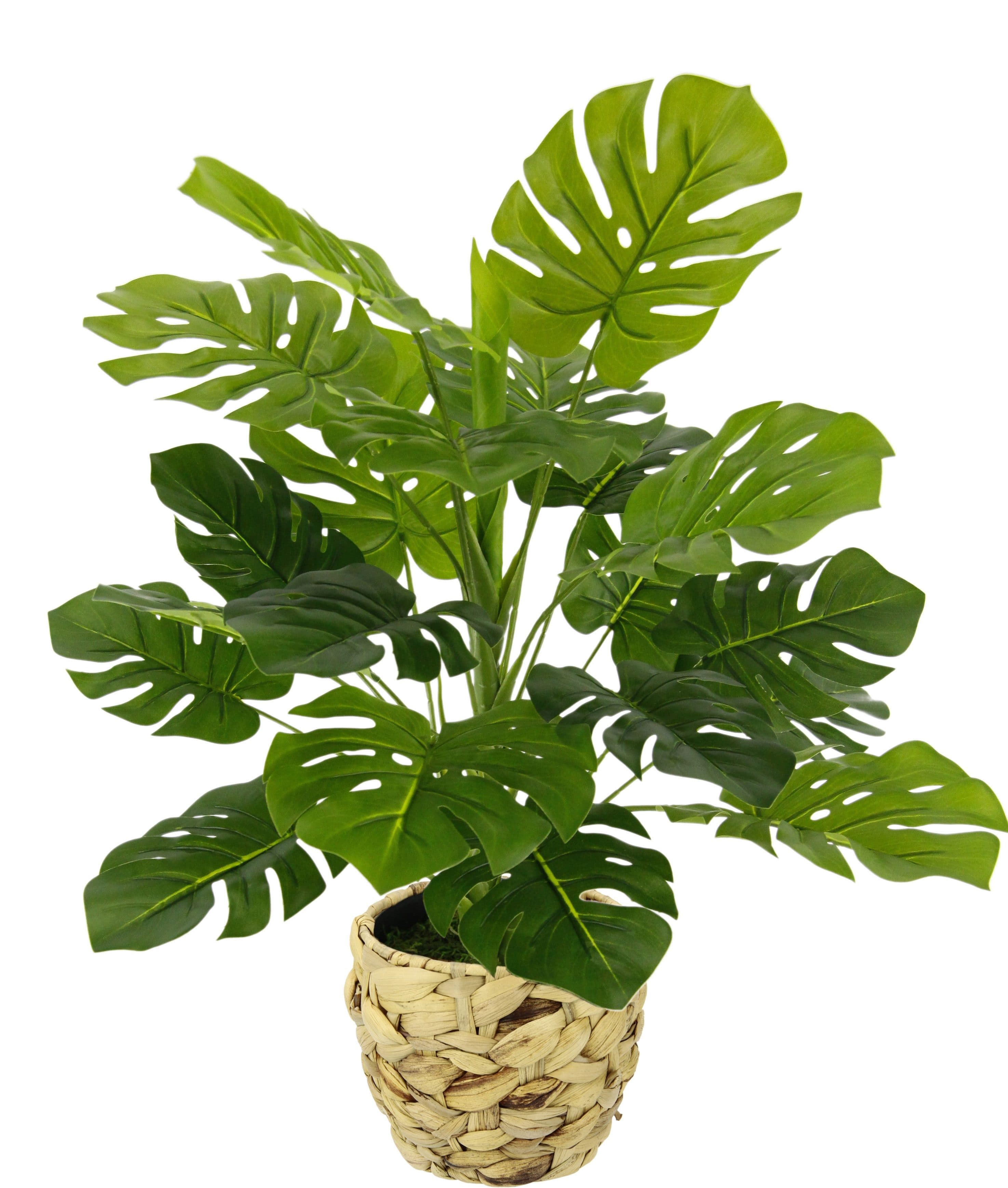 Kunstpflanze Monstera | Grün