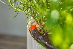 GARDENA Bewässerungssystem Micro-Drip-System Balkon | Schwarz