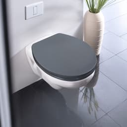 WENKO WC-Sitz Ostuni | Grau