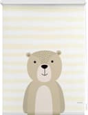 Seitenzugrollo Bär | Beige