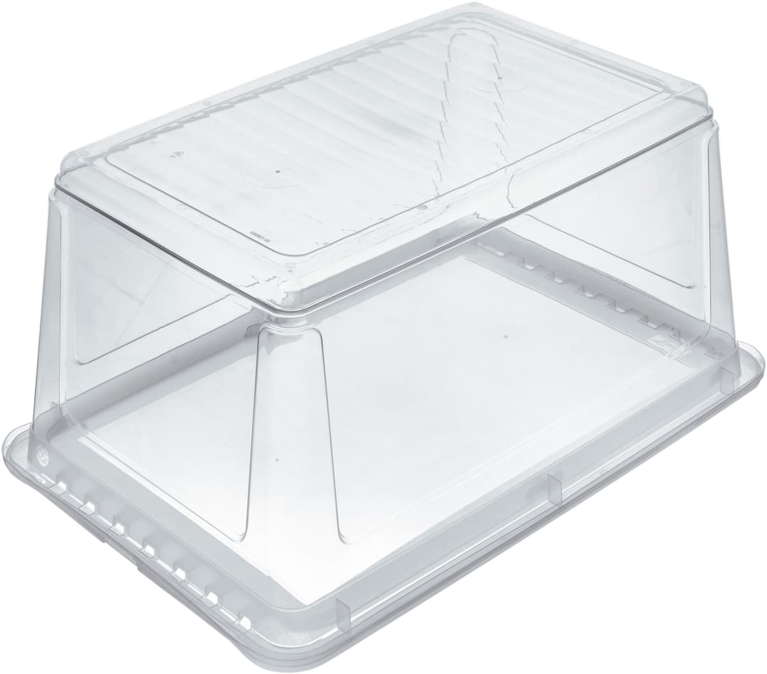 Keeeper Aufbewahrungsbox bea | Transparent