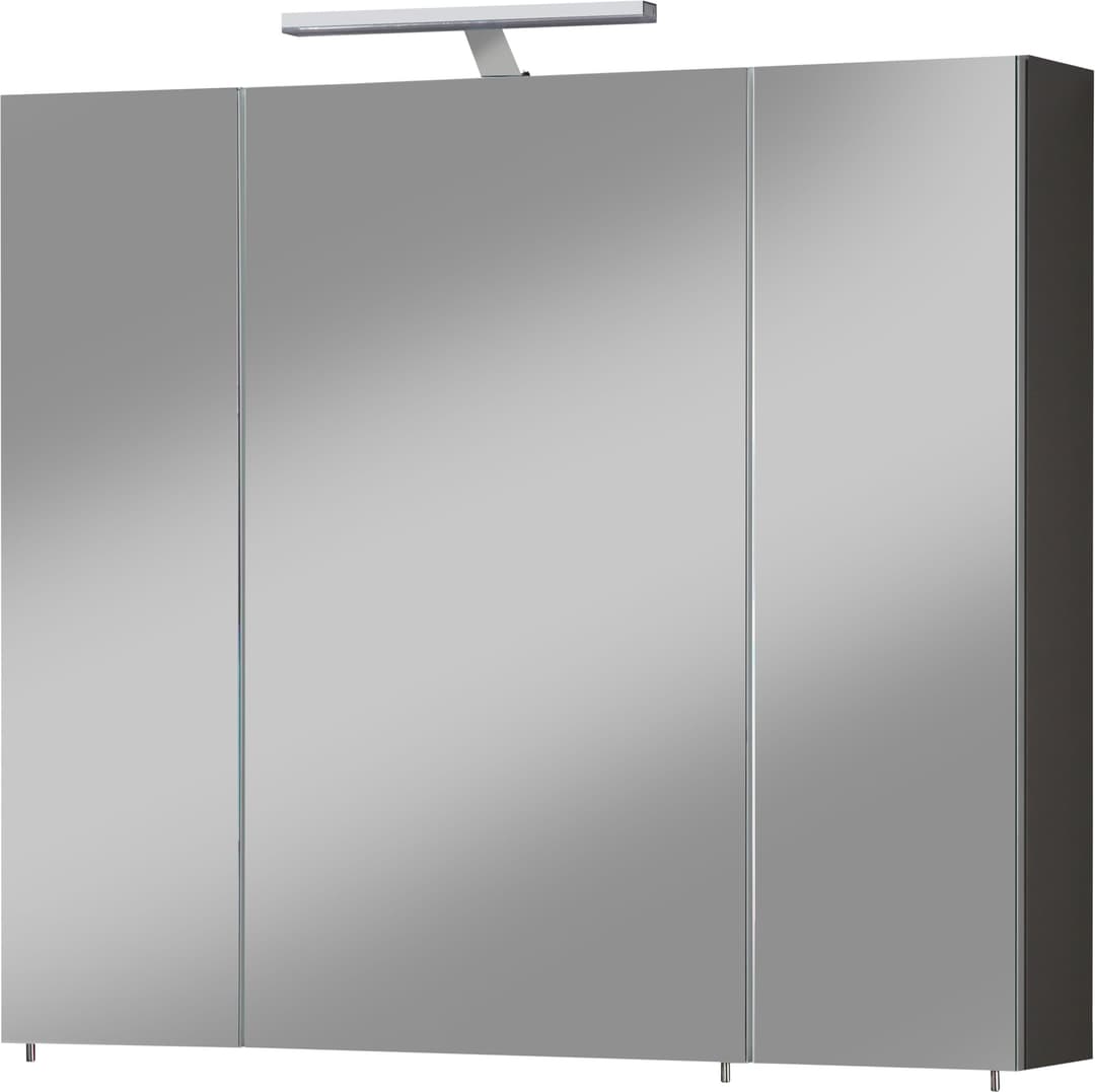 welltime Spiegelschrank Torino | Grau
