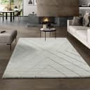 the carpet Teppich Bahar Shaggy | Beige