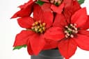 I.GE.A. Kunstblume Poinsettia im Topf | Rot 3