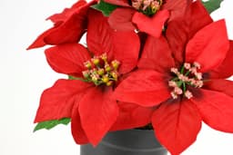 I.GE.A. Kunstblume Poinsettia im Topf | Rot