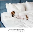 SETEX Matratzenauflage Molton-Köper | Weiß 5