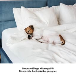 SETEX Matratzenauflage Molton-Köper | Weiß