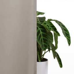 OTTO home Vorhang Raja | Braun