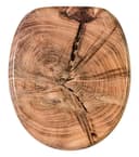 Sanilo WC-Sitz Old Tree | Braun