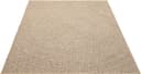 the carpet Teppich Kansas | Beige 3