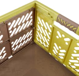 Keeeper Klappbox ben | Grün