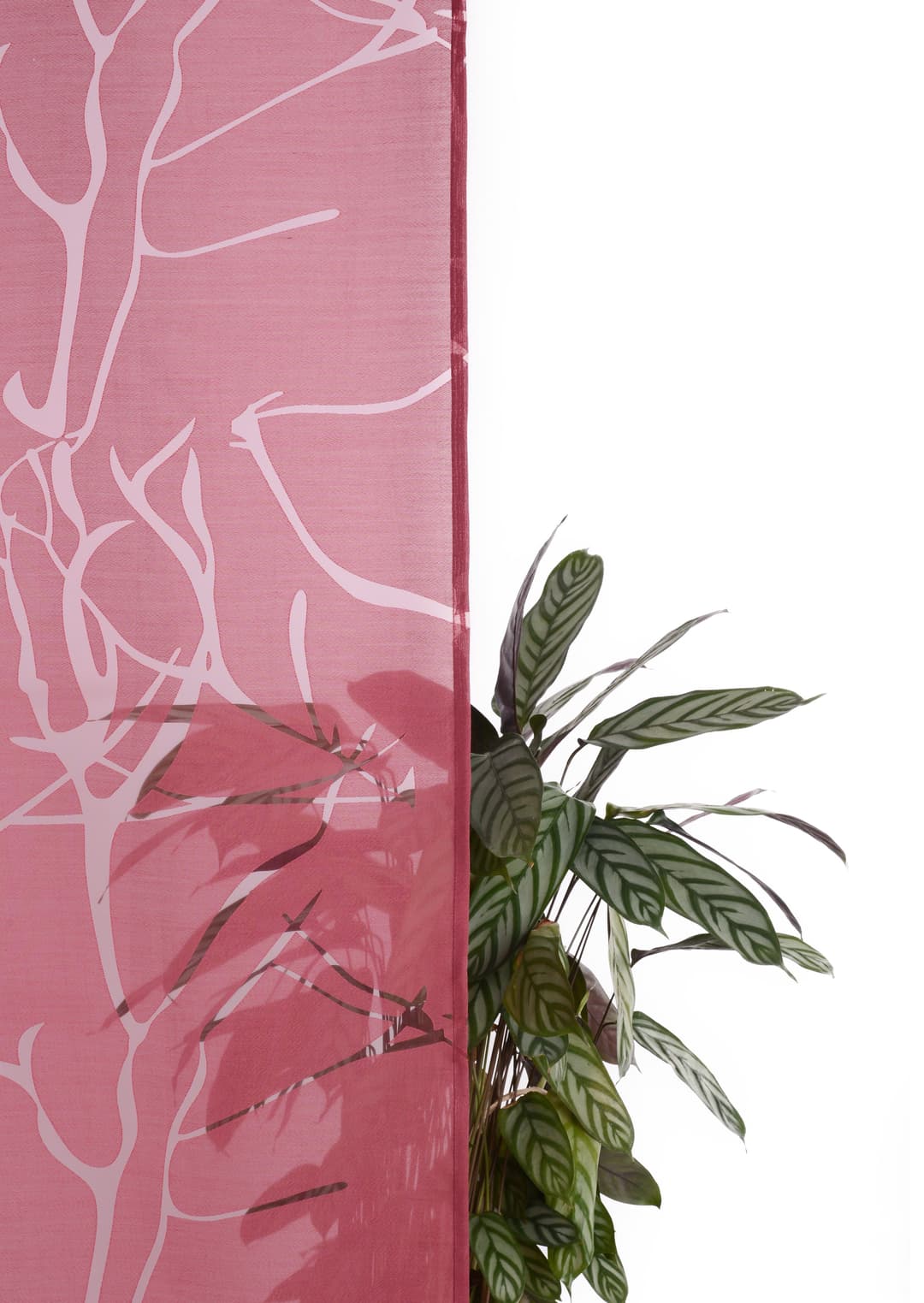 OTTO home Gardine Anna | Rot