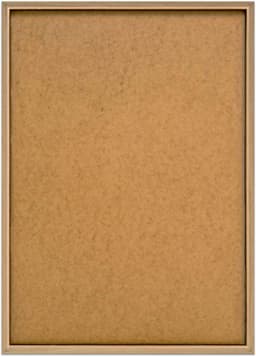 Reinders! Gerahmtes Bild Pampasgras Natur | Beige