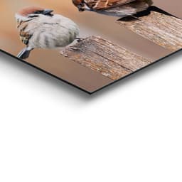 Reinders! Holzbild Deco Panel 30x90 Bird Family | Braun